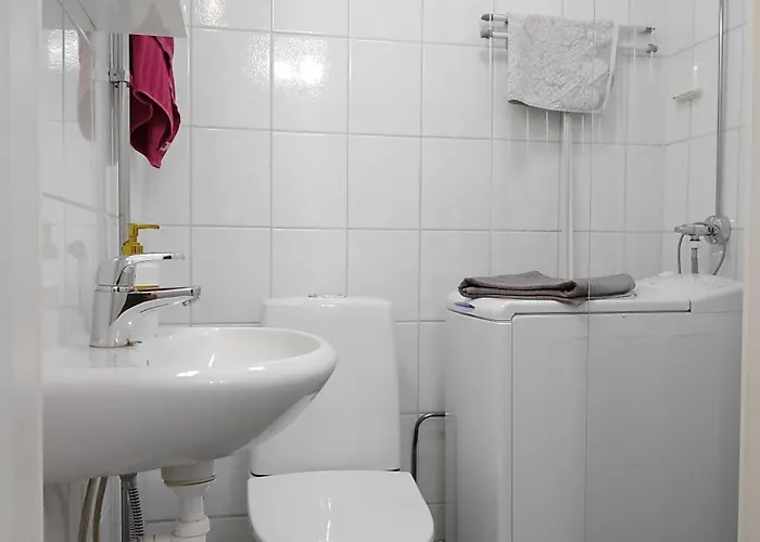 Romanttinen Retrokaksio アパート